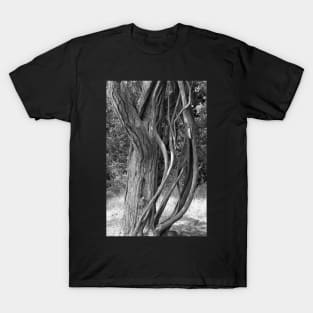 Road to Hana Flora Study 5 T-Shirt